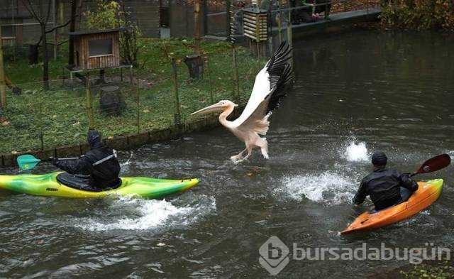 Günün en çok paylaşılan fotoğrafları