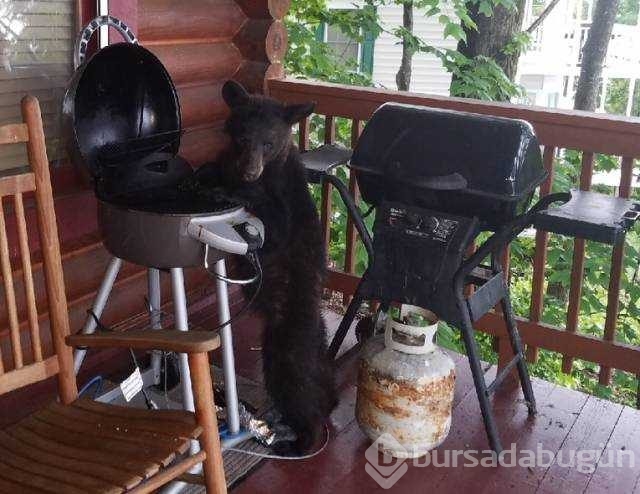 Günün en çok paylaşılan fotoğrafları