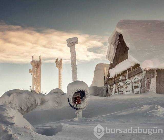 Günün en çok paylaşılan fotoğrafları