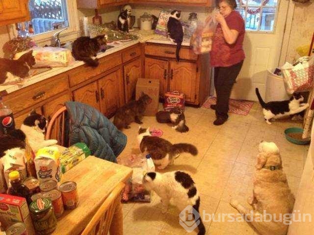 Günün en çok paylaşılan fotoğrafları