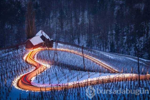 Günün en çok paylaşılan fotoğrafları