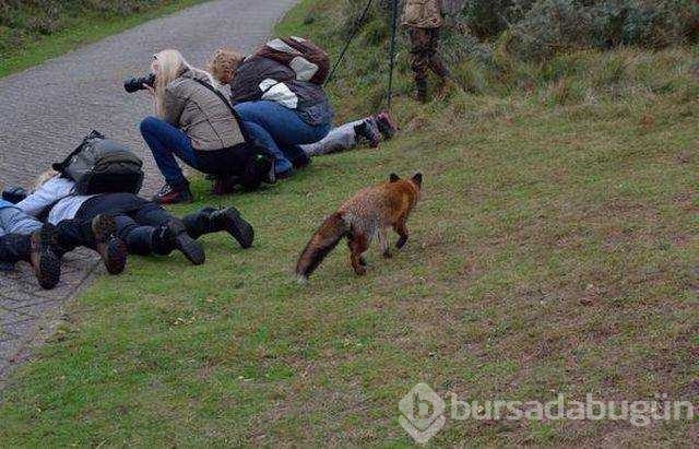 Günün en çok paylaşılan fotoğrafları