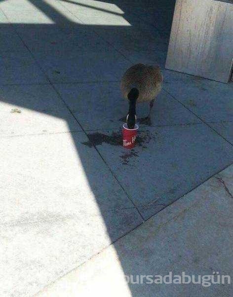 Günün en çok paylaşılan fotoğrafları