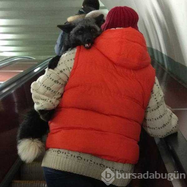 Günün en çok paylaşılan fotoğrafları