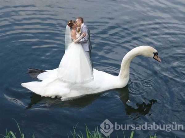 Rusya'dan tuhaf düğün fotoğrafları