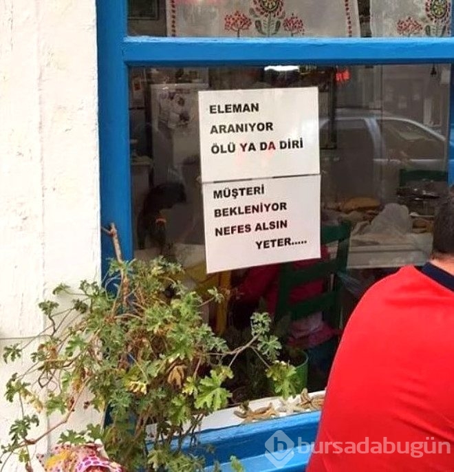 Klişe sorulardan sıkılan insanların önlem için astığı komik tabelalar
