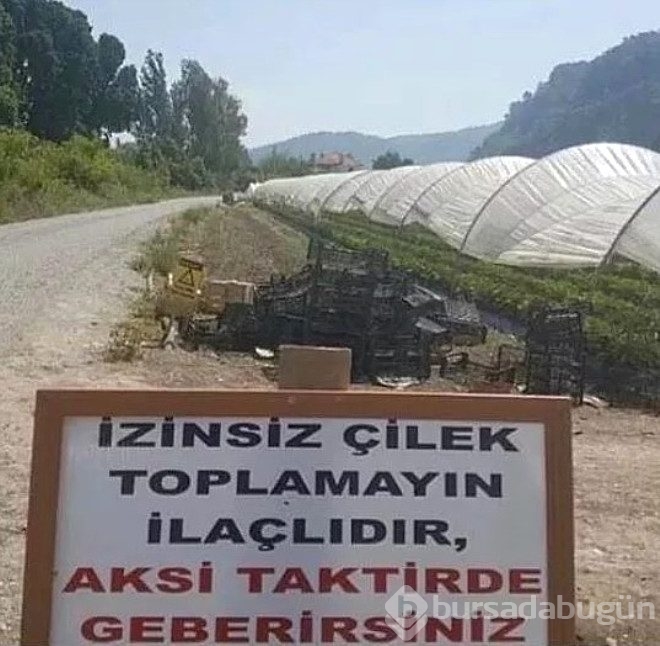 Klişe sorulardan sıkılan insanların önlem için astığı komik tabelalar
