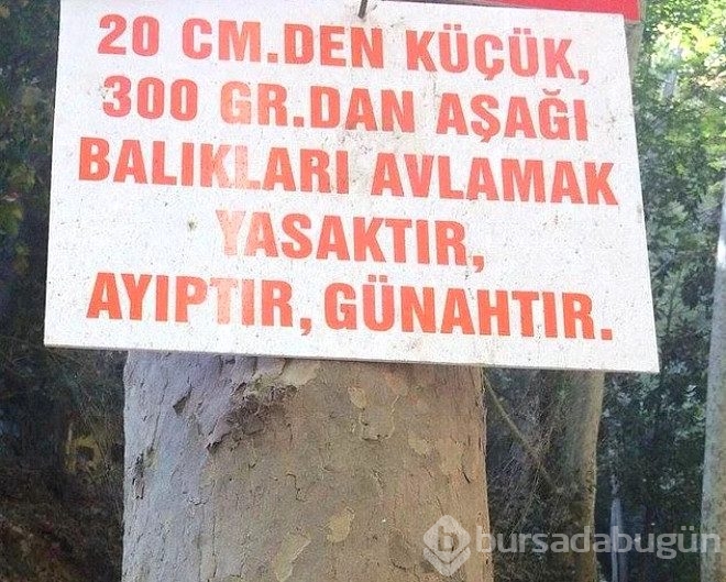 Klişe sorulardan sıkılan insanların önlem için astığı komik tabelalar
