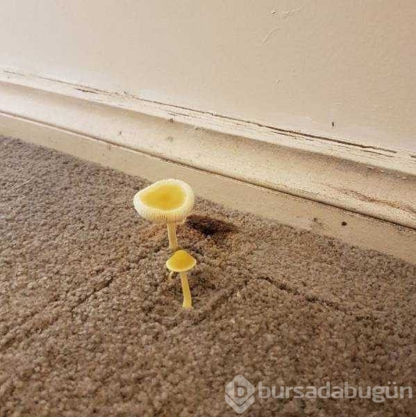 Günün en çok paylaşılan fotoğrafları
