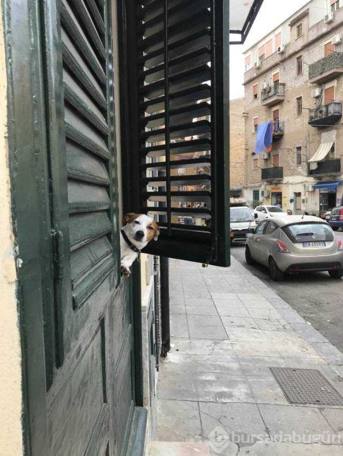 Günün en çok paylaşılan fotoğrafları
