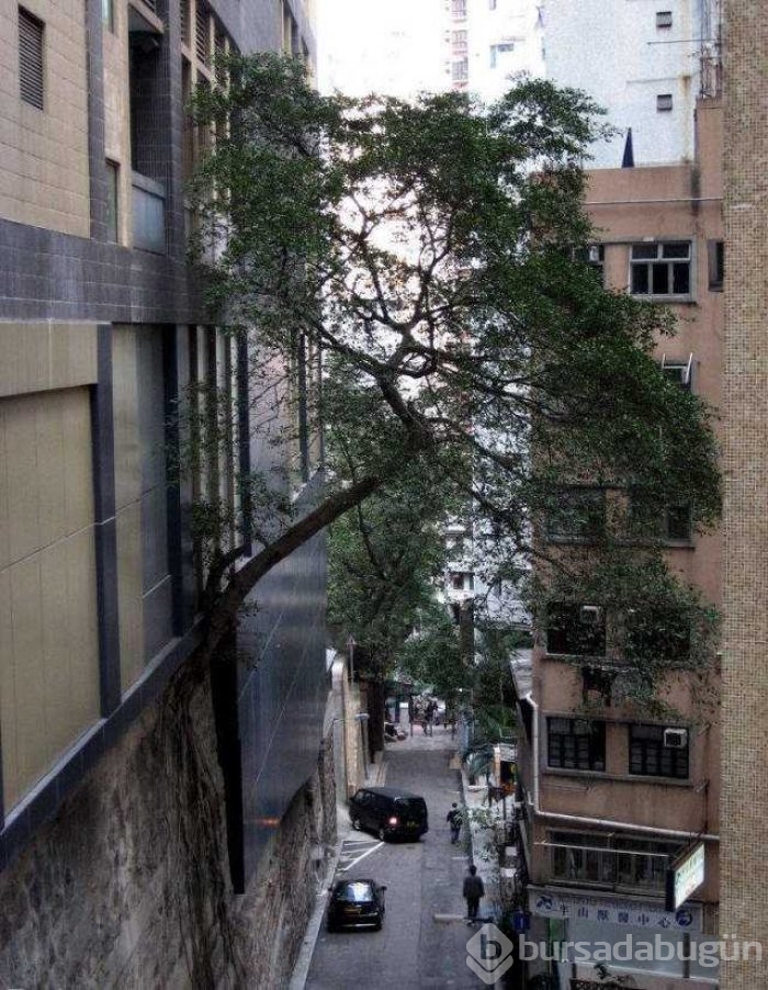Günün en çok paylaşılan fotoğrafları