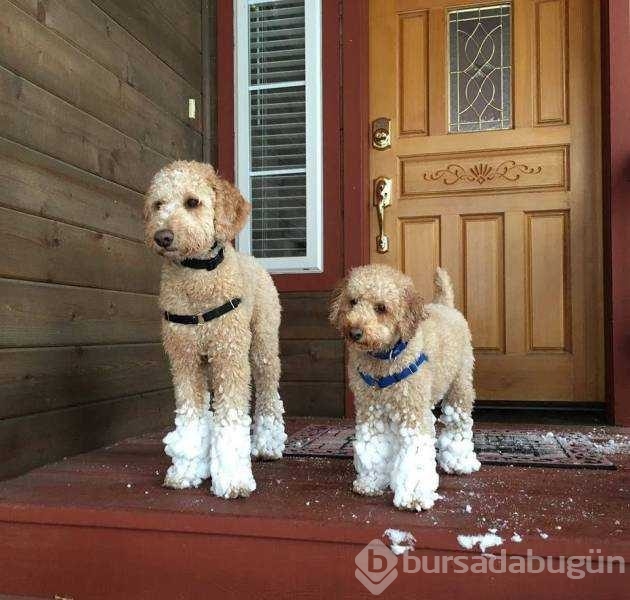 Günün en çok paylaşılan fotoğrafları