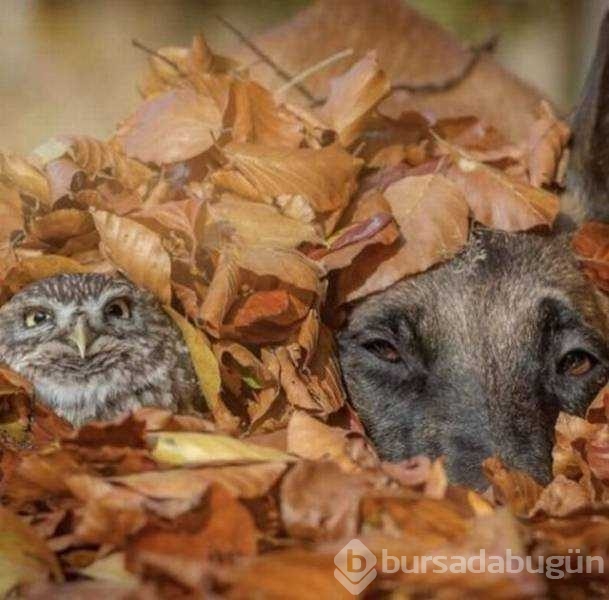 Günün en çok paylaşılan fotoğrafları