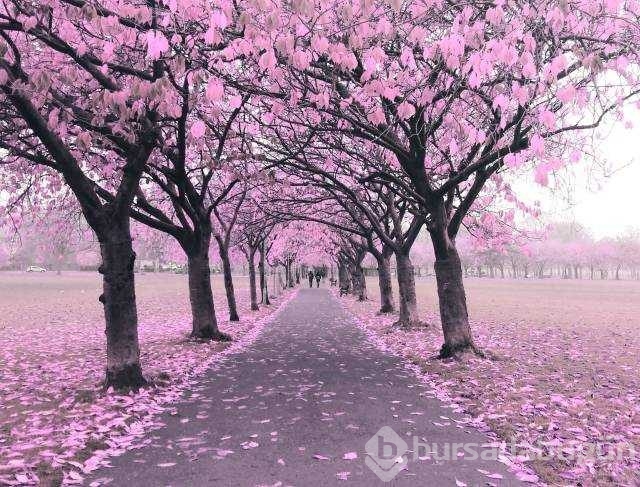 Günün en çok paylaşılan fotoğrafları