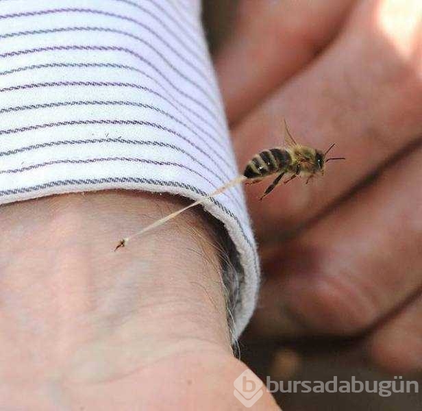 Günün en çok paylaşılan fotoğrafları