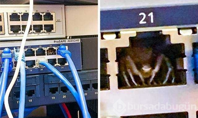 Günün en çok paylaşılan fotoğrafları