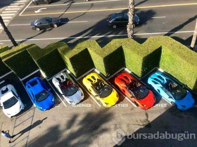 Günün en çok paylaşılan fotoğrafları