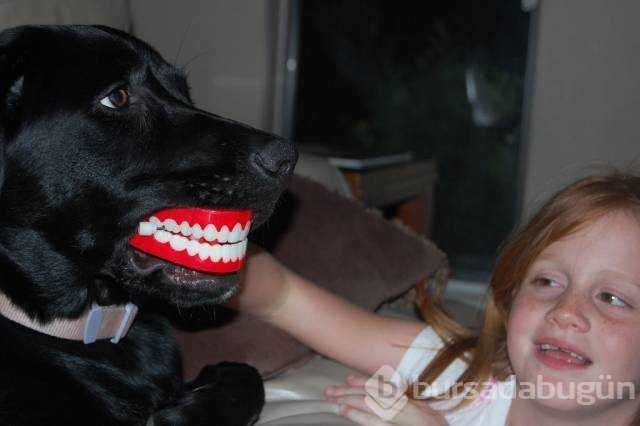 Günün en çok paylaşılan fotoğrafları