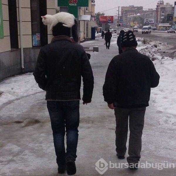Günün en çok paylaşılan fotoğrafları
