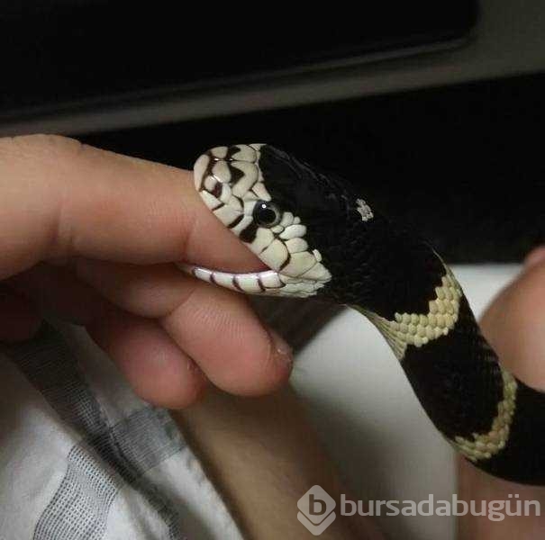 Günün en çok paylaşılan fotoğrafları