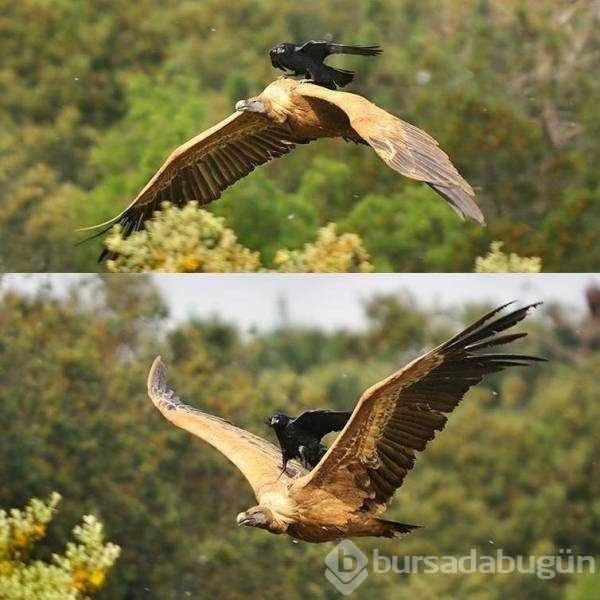Günün en çok paylaşılan fotoğrafları