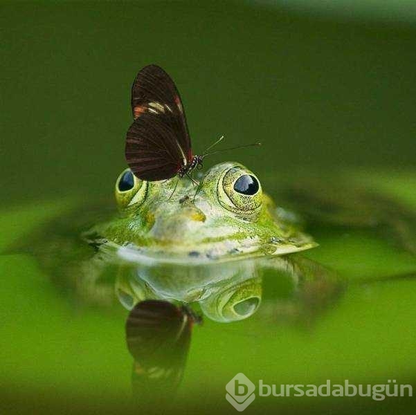 Günün en çok paylaşılan fotoğrafları