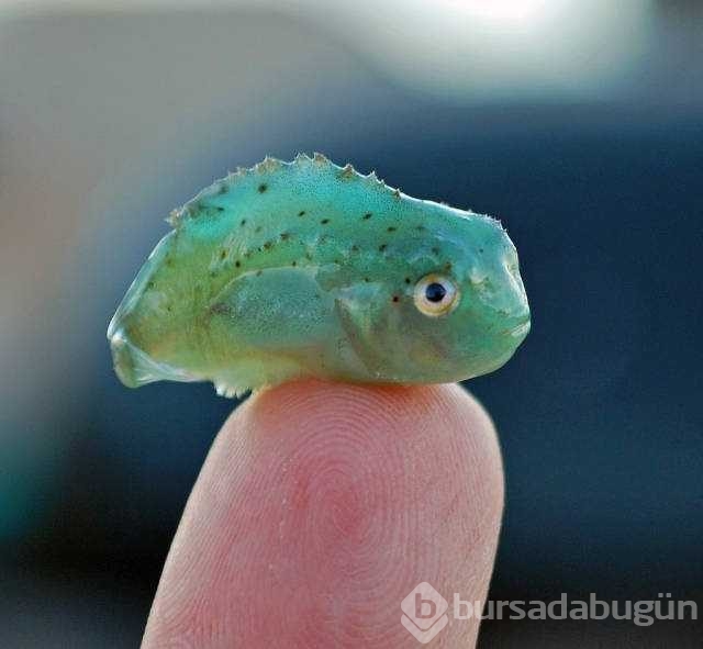 Günün en çok paylaşılan fotoğrafları