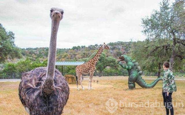 Günün en çok paylaşılan fotoğrafları