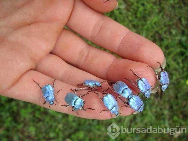 Günün en çok paylaşılan fotoğrafları