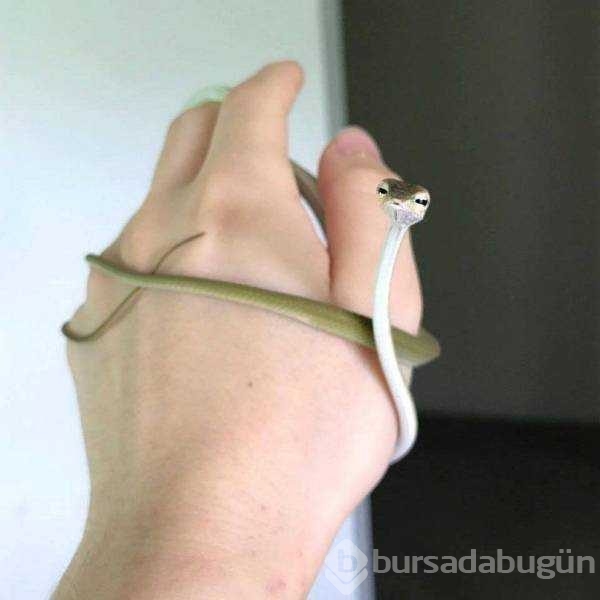 Günün en çok paylaşılan fotoğrafları