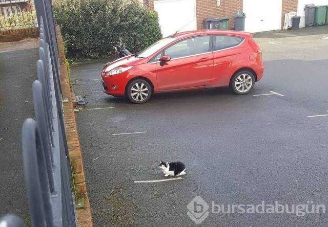 Günün en çok paylaşılan fotoğrafları