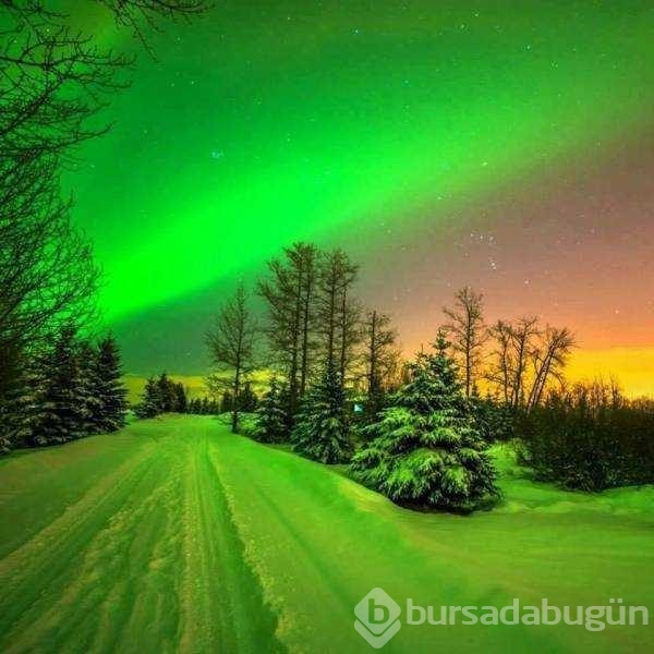 Günün en çok paylaşılan fotoğrafları