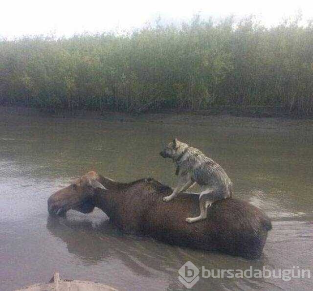 Günün en çok paylaşılan fotoğrafları