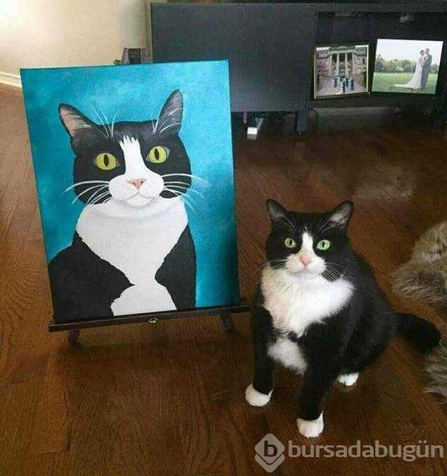 Günün en çok paylaşılan fotoğrafları