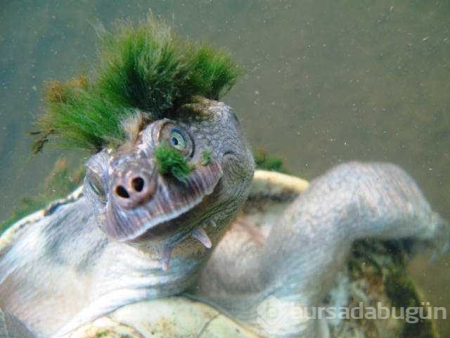 Günün en çok paylaşılan fotoğrafları