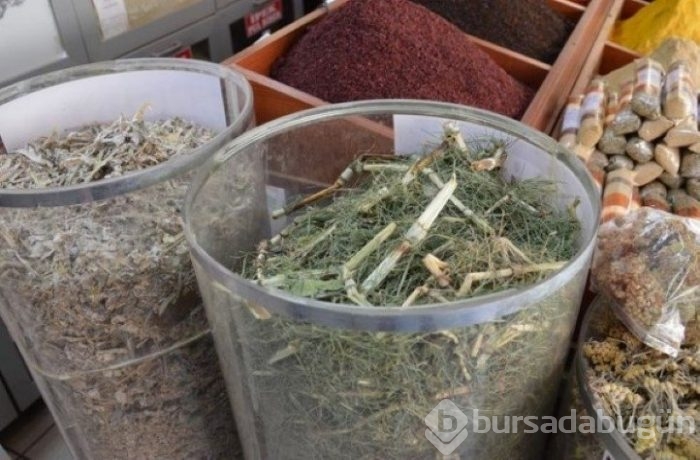 Şifa diye tüketiyoruz ama ölüme götürüyor!