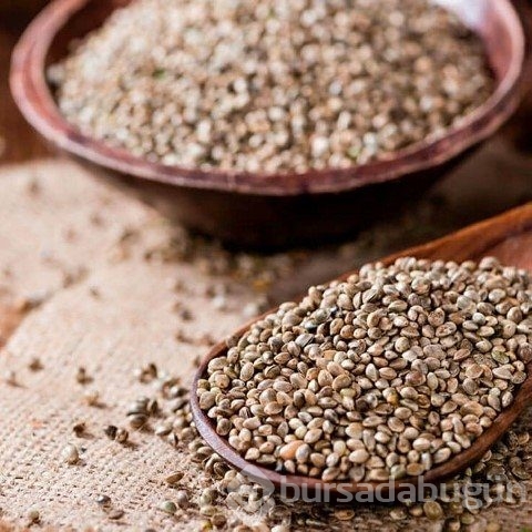 Şifa diye tüketiyoruz ama ölüme götürüyor!