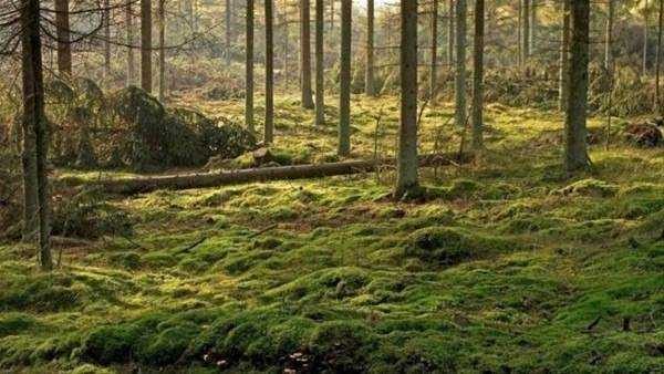 Şimdiye kadar bulunmuş en büyük hazineler
