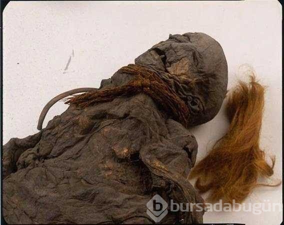 Şimdiye kadar bulunmuş en büyük hazineler