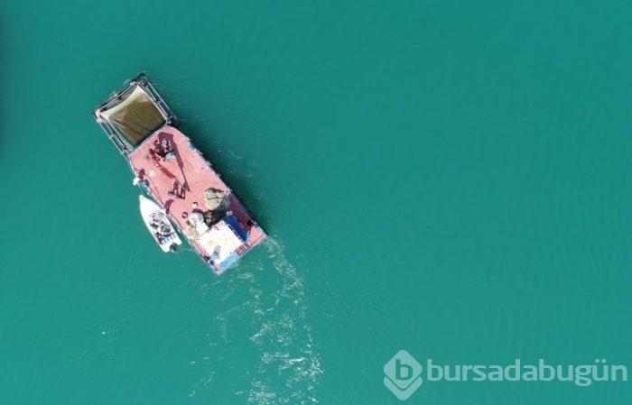 Fırat'ın balıkları yurt dışına satılıyor