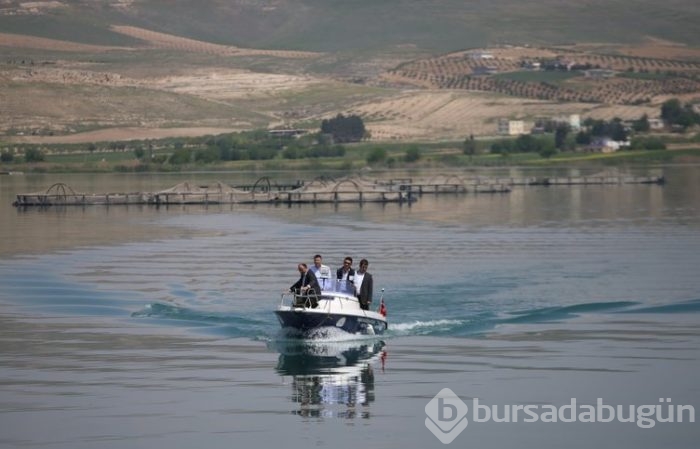 Fırat'ın balıkları yurt dışına satılıyor