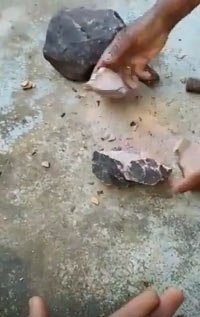 İçinden çıkanlar şoke etti