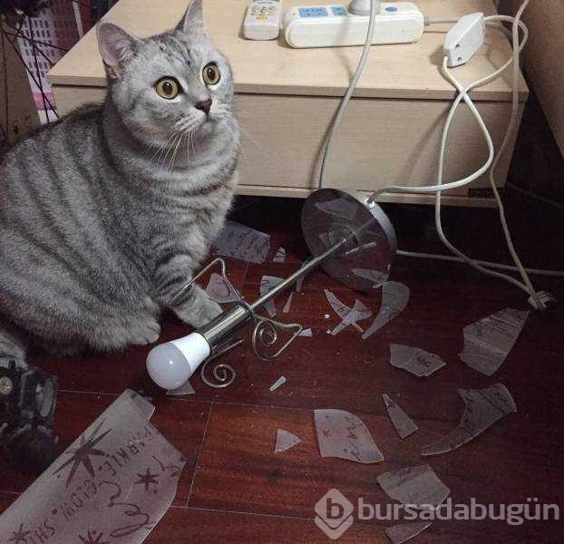 Günün en çok paylaşılan fotoğrafları