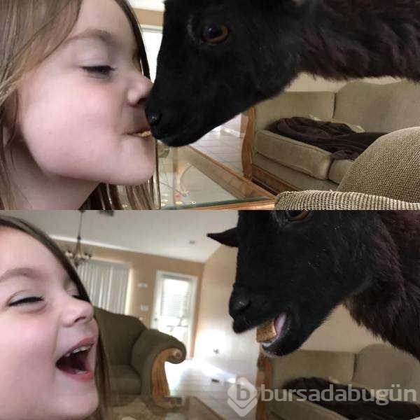 Günün en çok paylaşılan fotoğrafları
