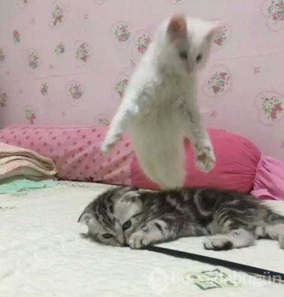Günün en çok paylaşılan fotoğrafları