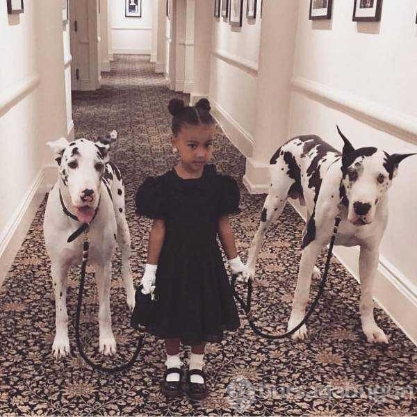 Günün en çok paylaşılan fotoğrafları