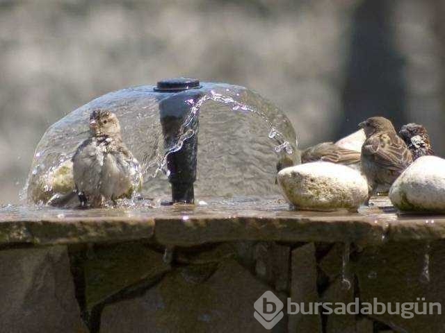Günün en çok paylaşılan fotoğrafları