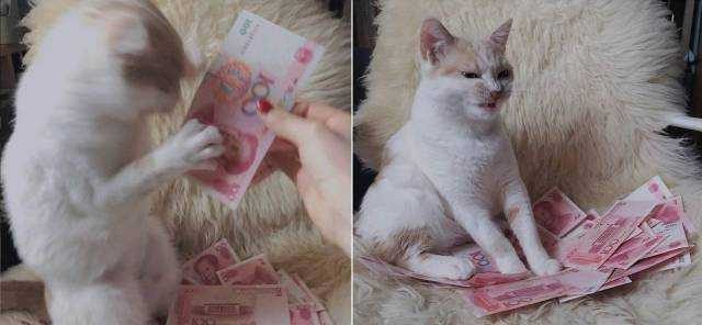 Günün en çok paylaşılan fotoğrafları
