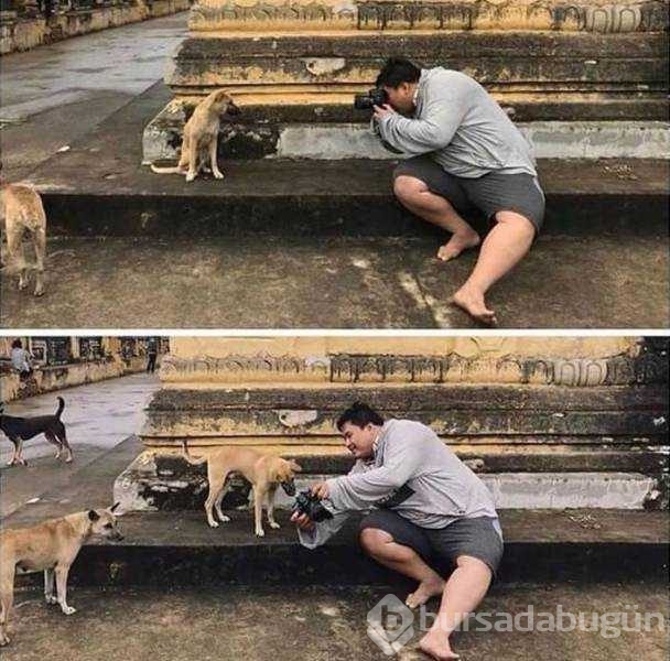 Günün en çok paylaşılan fotoğrafları