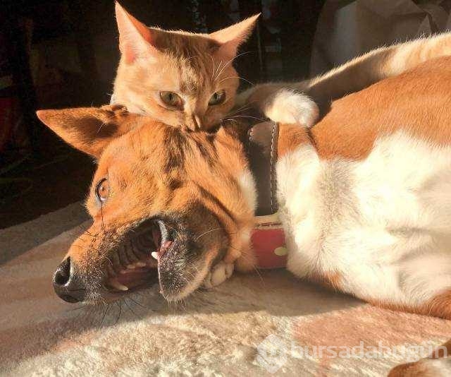 Günün en çok paylaşılan fotoğrafları